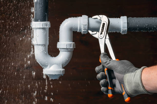 Professional Plumbing technician working in Munith, MI